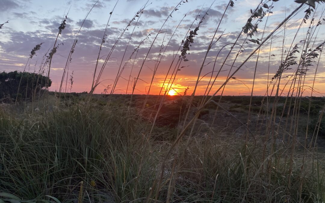 The Beaches of Ocracoke