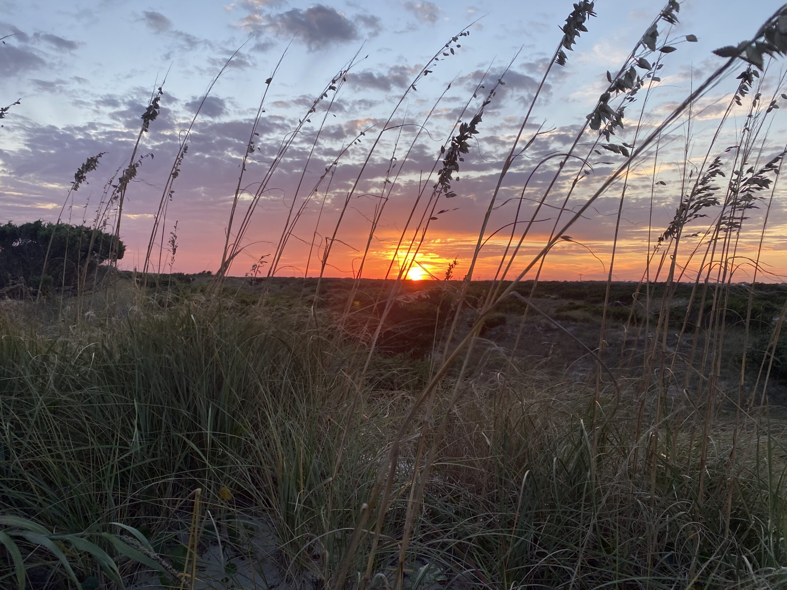 The Beaches of Ocracoke