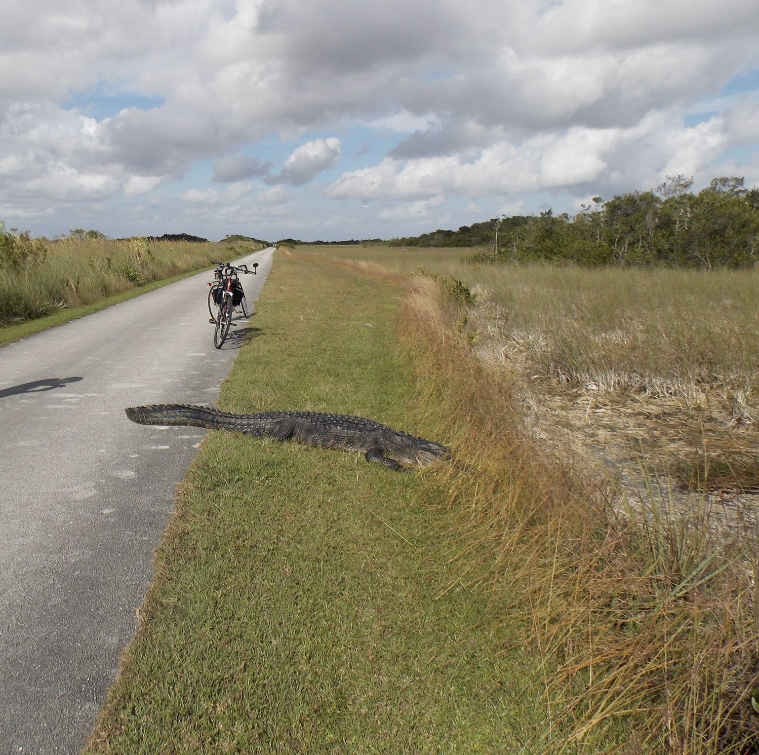 Visiting Nature’s Florida