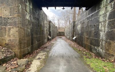 Exploring the Canal