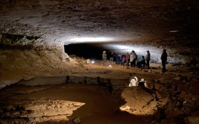 The Surprising World of Mammoth Cave