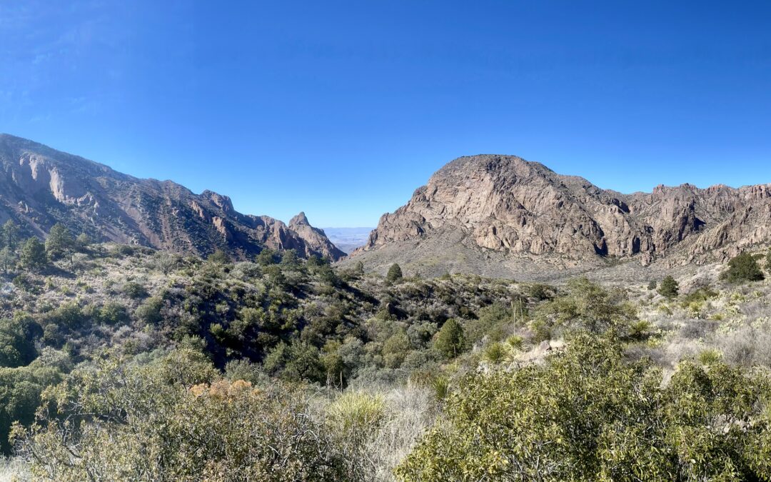 Big Adventure in Big Bend National Park