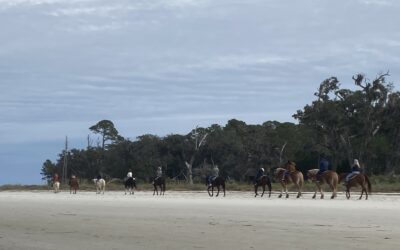 Golden Isles of Georgia