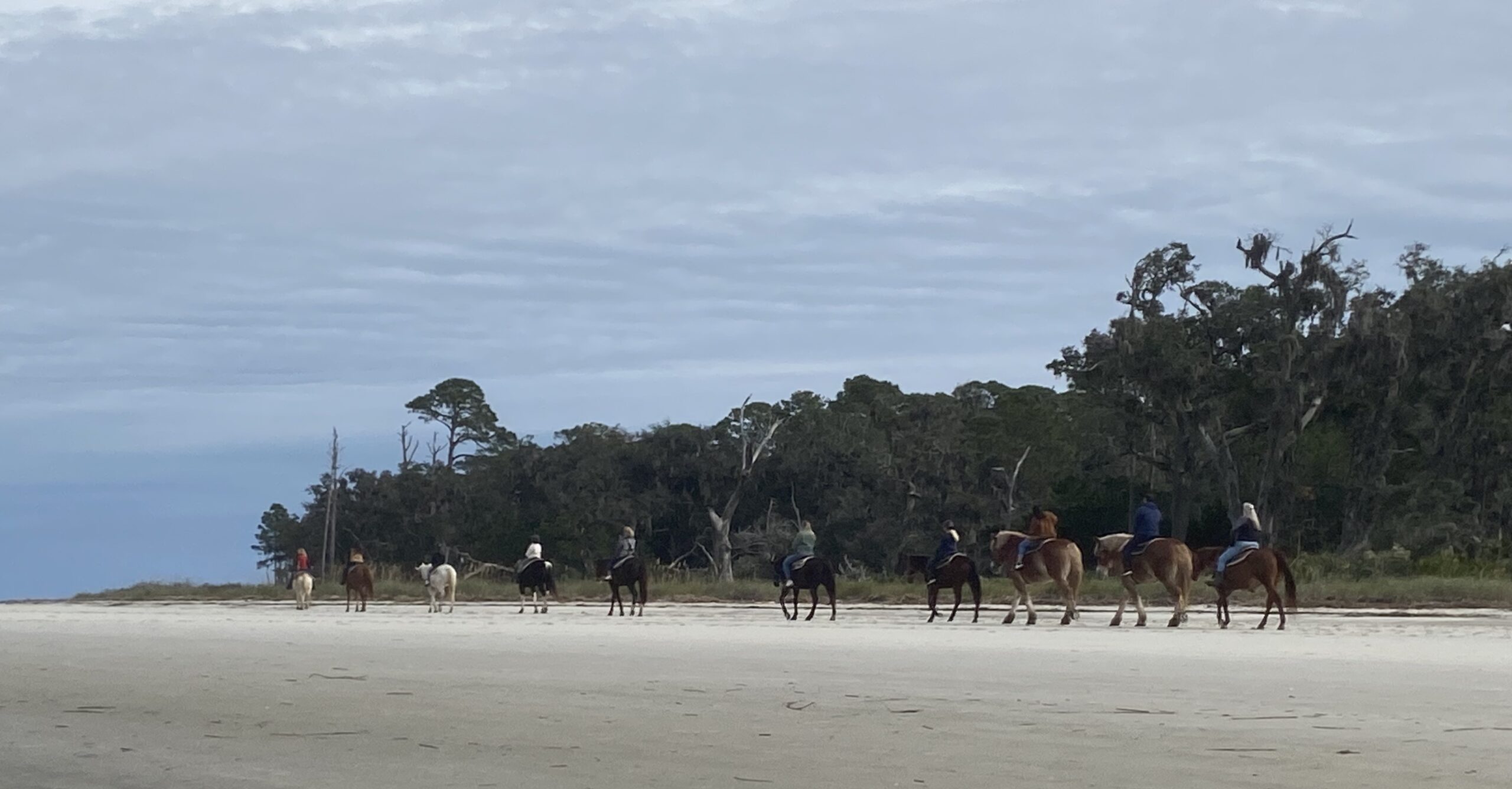 Golden Isles of Georgia