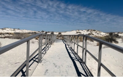 Sunny Days at White Sands National Park